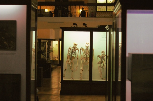 horniman museum london